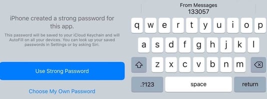 Utilizing Autofill Password  (1)